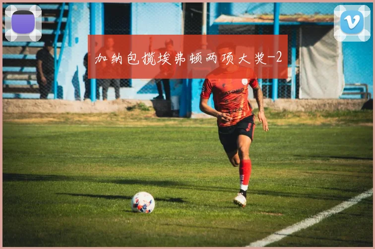 加纳包揽埃弗顿两项大奖