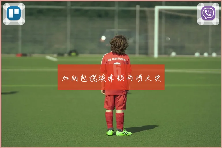 加纳包揽埃弗顿两项大奖
