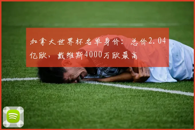 加拿大世界杯名单身价：总价2.04亿欧，戴维斯4000万欧最高