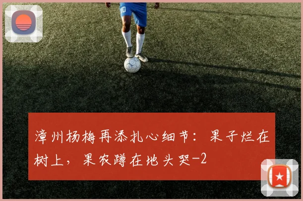 漳州杨梅再添扎心细节：果子烂在树上，果农蹲在地头哭