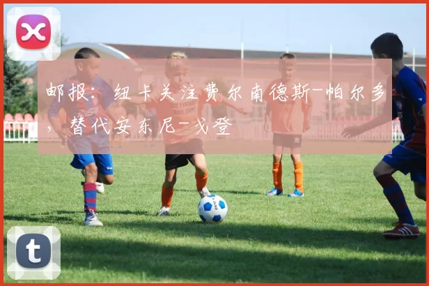 邮报：纽卡关注费尔南德斯-帕尔多，替代安东尼-戈登