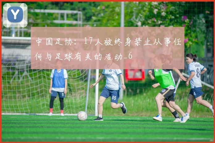 中国足协：17人被终身禁止从事任何与足球有关的活动_6