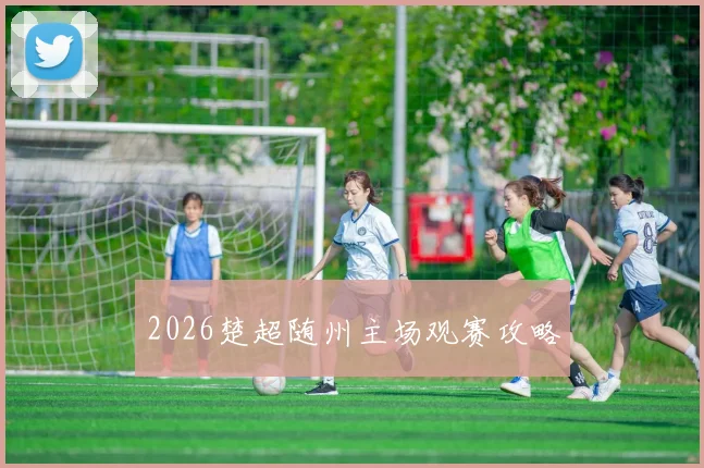 2026楚超随州主场观赛攻略