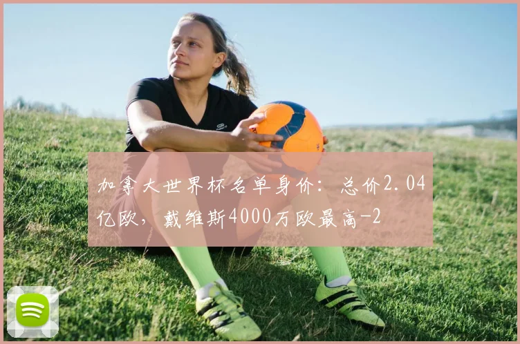 加拿大世界杯名单身价：总价2.04亿欧，戴维斯4000万欧最高