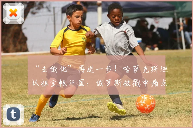 “去俄化”再进一步！哈萨克斯坦认祖金帐汗国，俄罗斯被戳中痛点_网易订阅